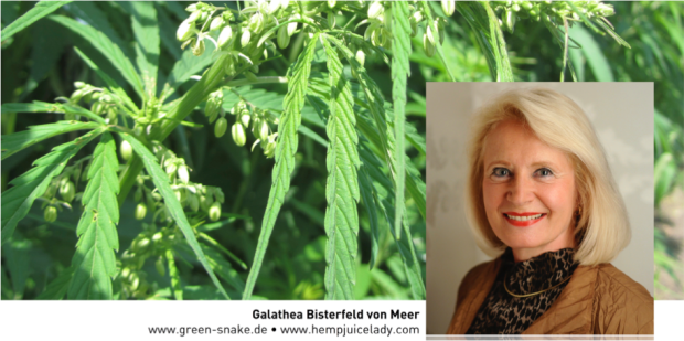 Briefkopf_Cannabis_BvM_Foto