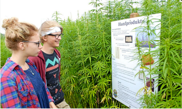 Bildschirmfoto 2016-07-19 um 14.07.37